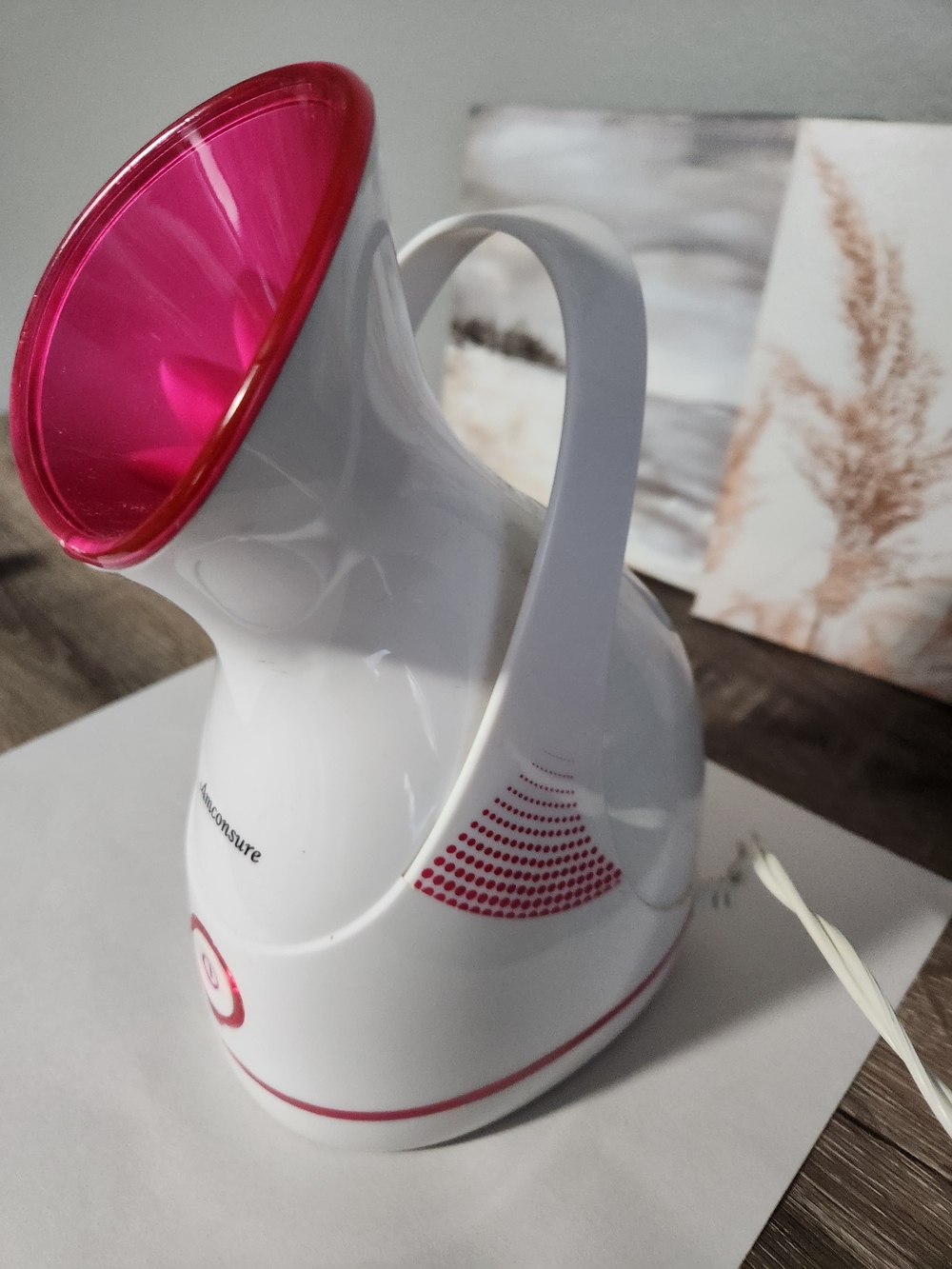 Facial Steamer with Pink Accent - Unbranded